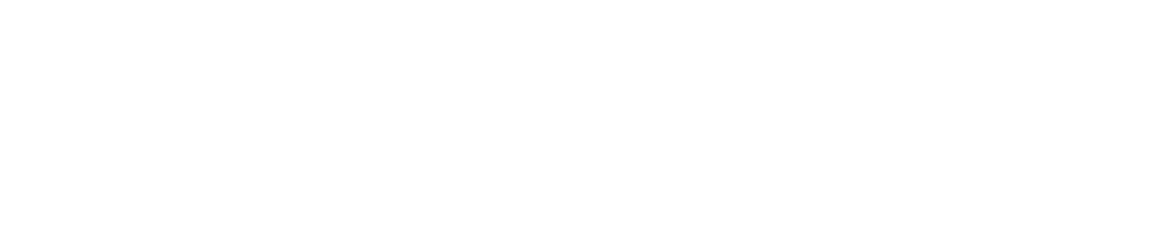 Logo 2024 white pc