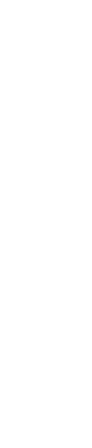 Logo 2024 white sp